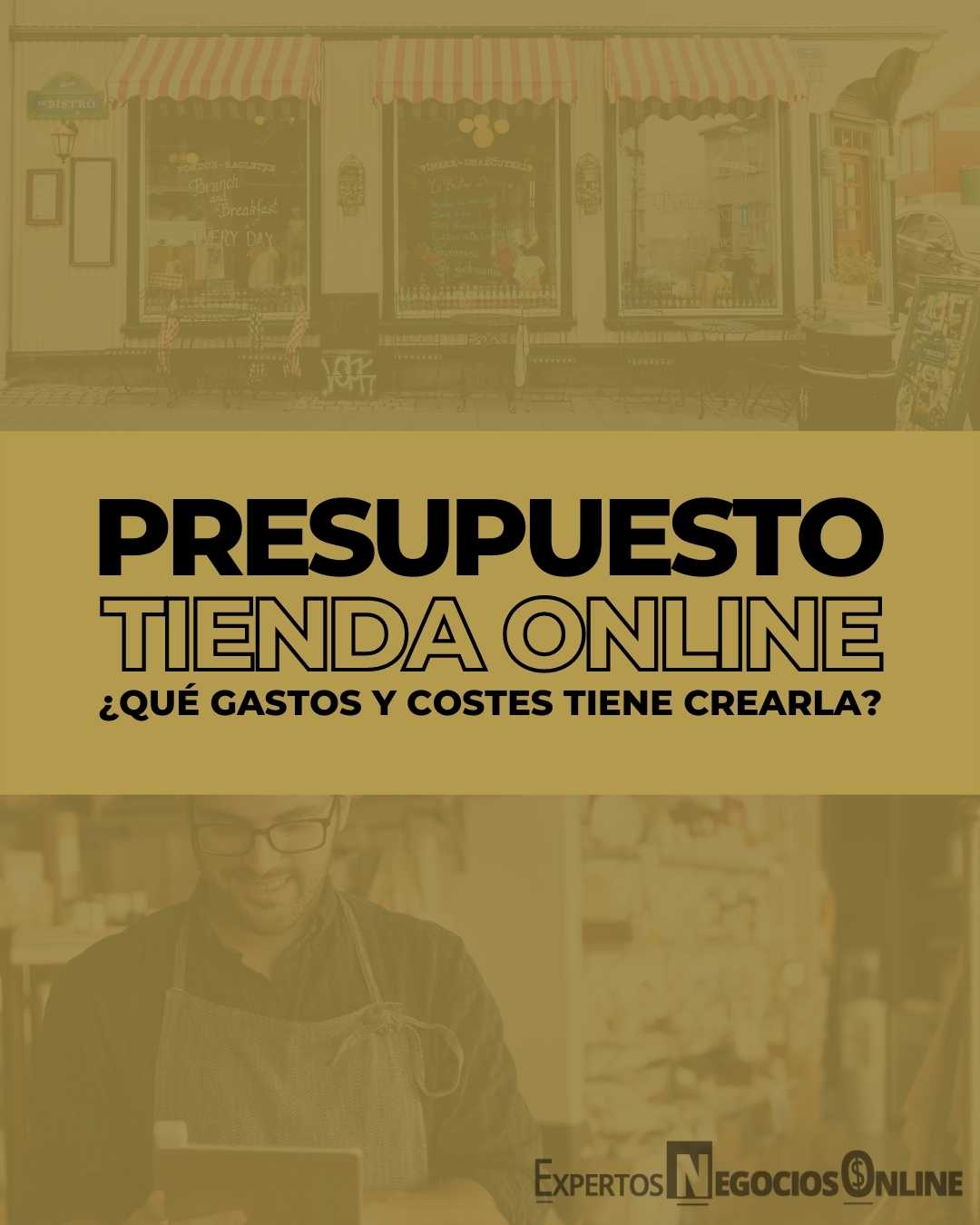 presupuesto para una tienda online