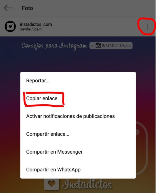 Cómo REPOSTEAR En Instagram (App Repost IG)